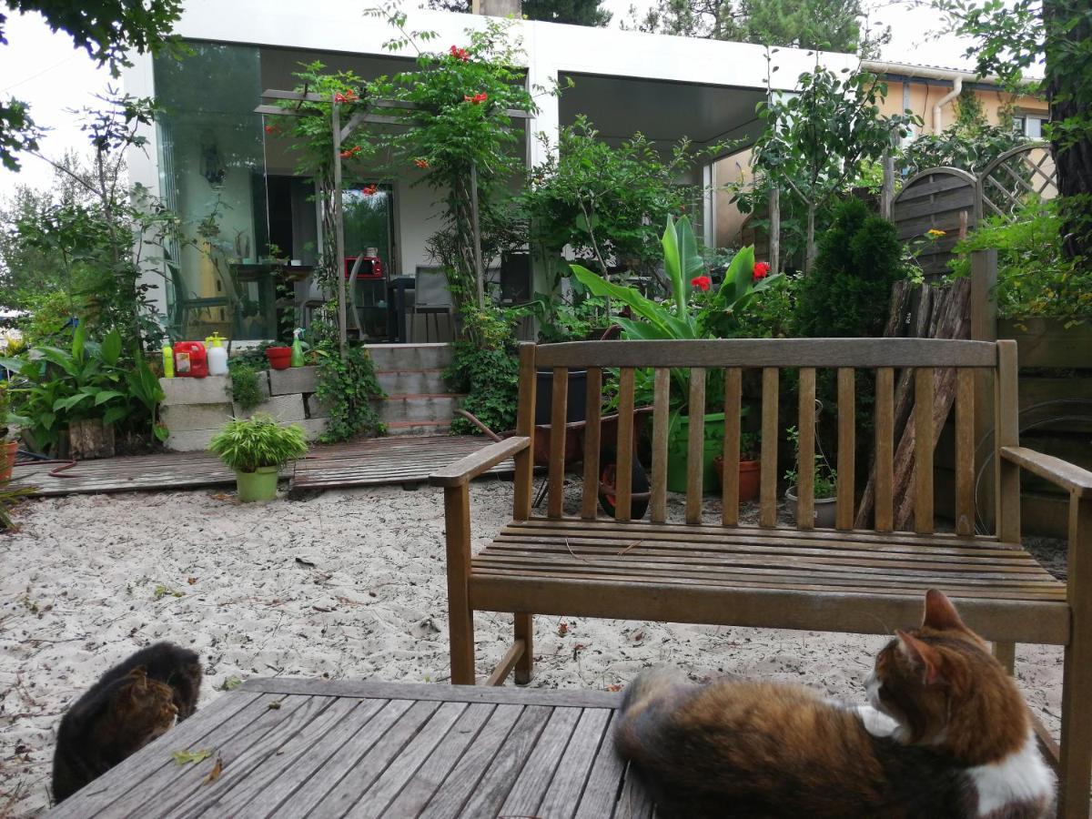 Le Relais De La Praya Bed & Breakfast Lège-Cap-Ferret Eksteriør bilde
