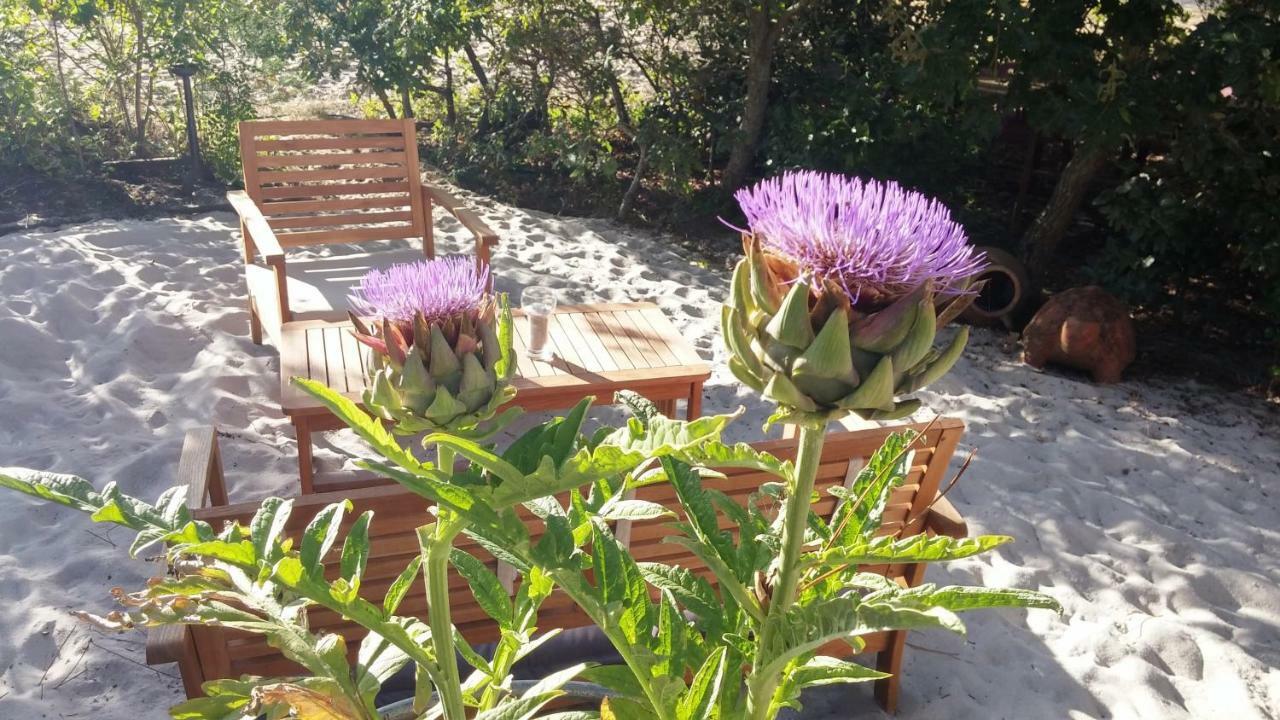 Le Relais De La Praya Bed & Breakfast Lège-Cap-Ferret Eksteriør bilde